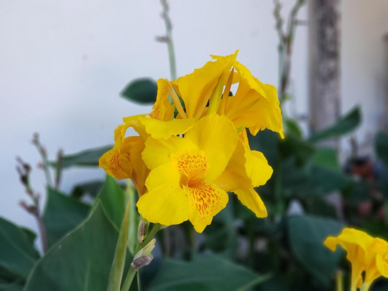 Hostal Casa Vieja 马塔加尔帕 外观 照片