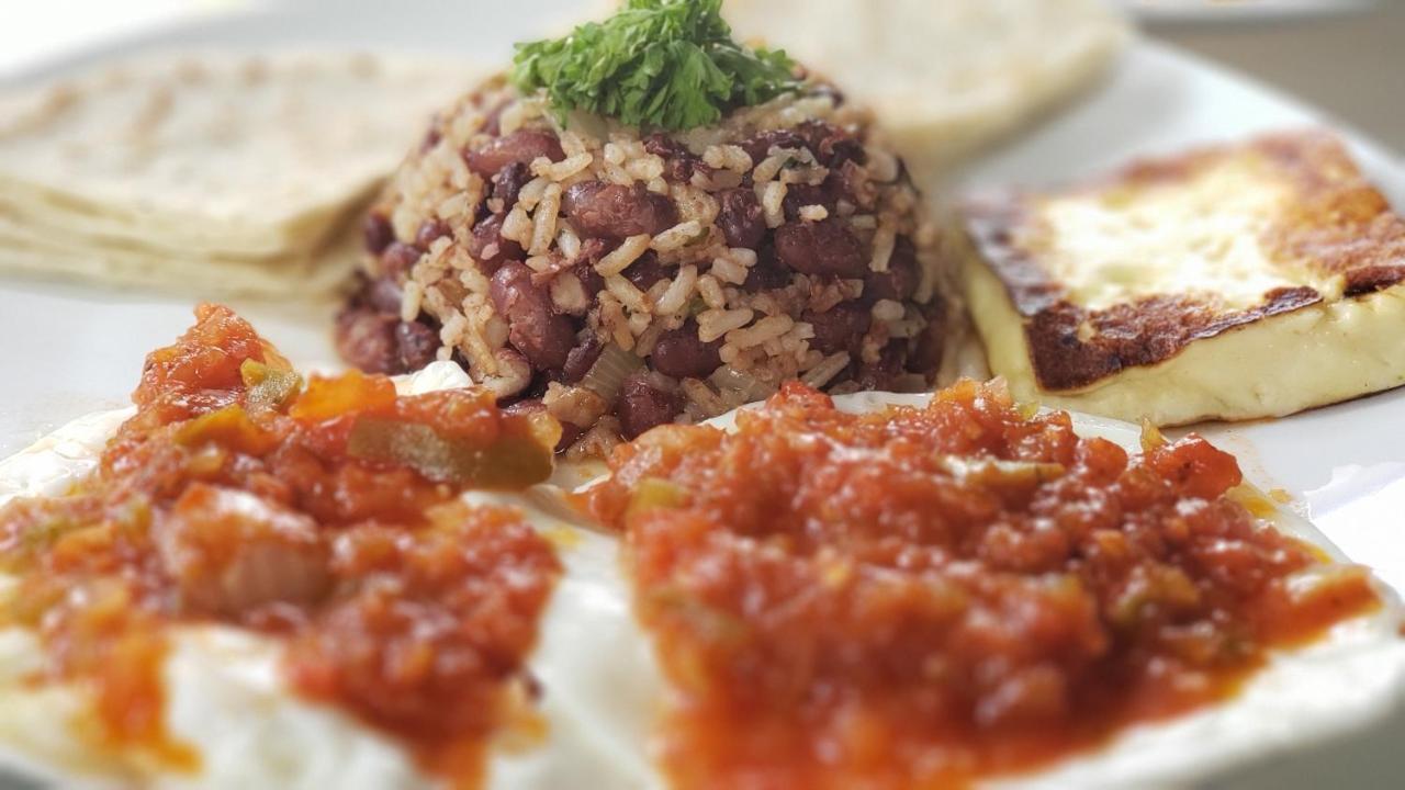Hostal Casa Vieja 马塔加尔帕 外观 照片